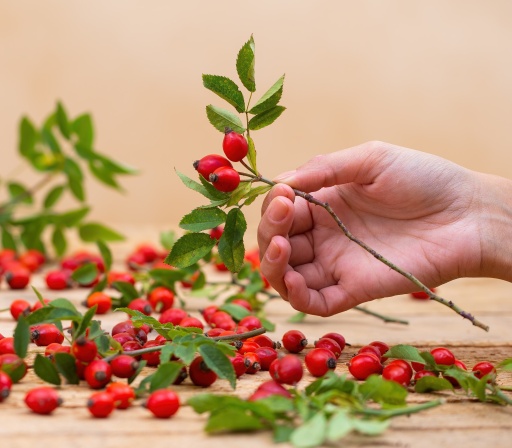 Andrej Medveď - Ako dobre poznáte kvercetín ?
