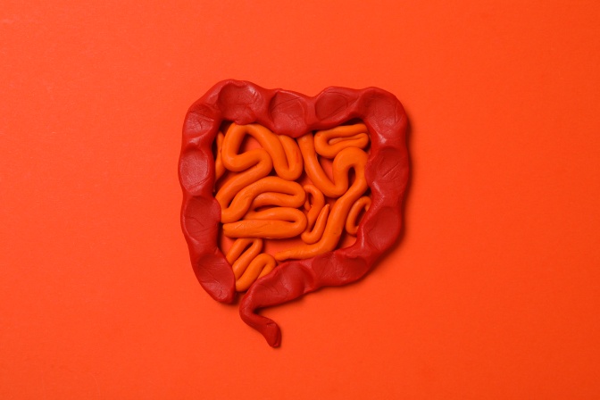 Andrej Medveď - Ako vplýva cukor na črevný mikrobióm a cez črevný mikrobióm na naše zdravie?