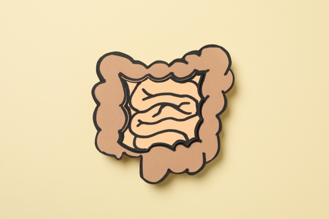 Andrej Medveď - Ak budete mať v čreve dostatok tejto baktérie, môže Vám to priniesť týchto 6 výhod.