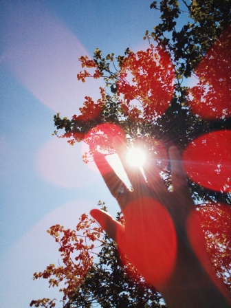 Andrej Medveď - Lepšie pochopenie vedie k lepšiemu riešeniu problémov