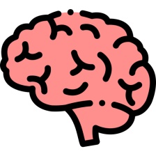  - Podpora činnosti mozgu Neurologické ochorenia, rečové problémy, zhoršená pamäť u seniorova a iné